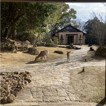 THE HILLTOP TERRACE NARA（ザ・ヒルトップテラス奈良）の画像｜チャペルと鹿