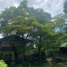 桜鶴苑（おうかくえん）の画像｜日本庭園（もみじ）