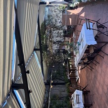 ノビアノビオの画像