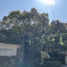 THE CHELSEA COURT（ザ・チェルシーコート）の画像