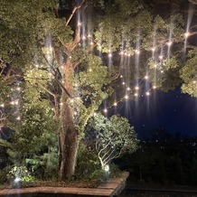 北野クラブ・ソラ　ＫＩＴＡＮＯ ＣＬＵＢ ＳＯＬＡの画像｜会場の外の木もイルミネーションされており、素敵でした。