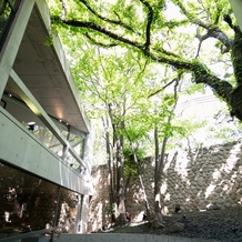 ザ・ヒルサイド神戸の画像｜中庭