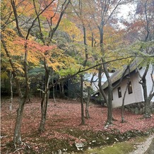 森の邸宅　彩音の画像｜紅葉も綺麗でした