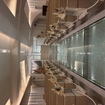 ＤＵＣＬＡＳＳ　ＯＳＡＫＡ　デュクラス大阪の画像