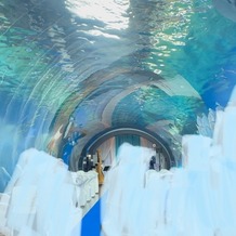 品川プリンスホテルの画像｜水族館挙式