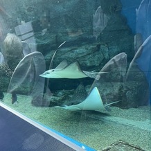 品川プリンスホテルの画像