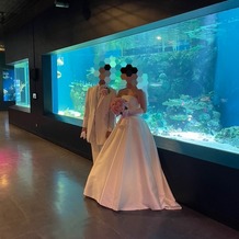 品川プリンスホテルの画像｜水槽の前でたくさん写真を撮りました