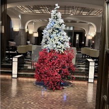 センチュリーコート丸の内の画像｜エントランスすぐ。クリスマスシーズンでオーガンジー装飾されたツリーが。この奥が挙式会場になります。