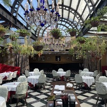 Stellato（ステラート）の画像