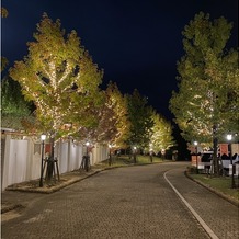 ララシャンス迎賓館の画像｜屋外の並木道のイルミネーション