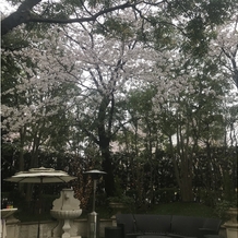 赤坂 アプローズスクエア迎賓館の画像｜桜の木が植樹されている