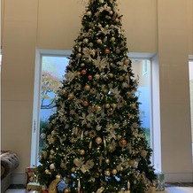 アートグレイス　ウエディングコースト　東京ベイの画像｜クリスマスシーズンだったので、あちこちにツリーがあってクリスマス気分を味わえました