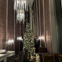 アルモニーアンブラッセ ウエディングホテルの画像｜受付のクリスマスツリー