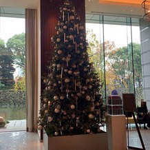 パレスホテル東京（PALACE HOTEL TOKYO）の画像｜12月のクリスマス装飾のホテルロビー