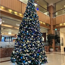 ロイヤルパークホテルの画像｜クリスマスツリーがロビーに飾られていました