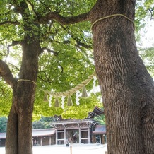 FOREST TERRACE　明治神宮・桃林荘の画像