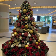 帝国ホテル　大阪の画像｜ロビーのツリーがとてもきれかったです。