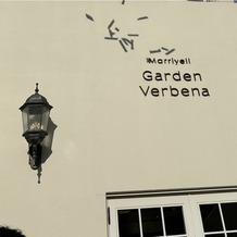 マリエール　ガーデン　バーベナ　（Ｍａｒｒｉｙｅｌｌ　Ｇａｒｄｅｎ　Ｖｅｒｂｅｎａ）の画像