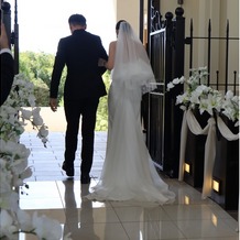 マリエール　ガーデン　バーベナ　（Ｍａｒｒｉｙｅｌｌ　Ｇａｒｄｅｎ　Ｖｅｒｂｅｎａ）の画像