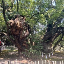 浜松八幡宮　楠倶楽部の画像