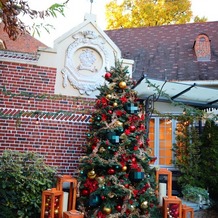 キャメロットヒルズの画像｜入り口のクリスマスツリー