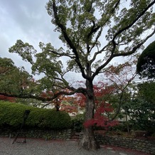 THE　GARDEN　PLACE　SOSHUEN（蘇州園）の画像｜入り口の門を抜けるとたくさんの木々に囲まれています。
