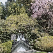 明治神宮・明治記念館の画像｜庭園の様子