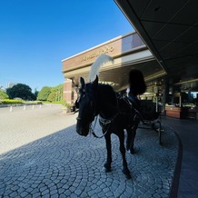 ウェスティンホテル東京の画像｜乗れる馬