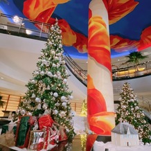 横浜ベイホテル東急の画像｜クリスマスシーズンだったためクリスマスツリー背景のロケーションで撮影もしました