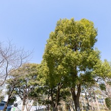 ザ・リッツ・カールトン東京の画像