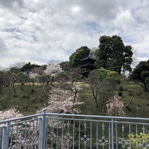 ホテル椿山荘東京の画像｜お庭