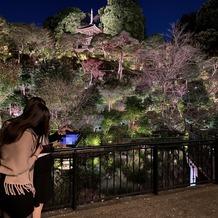 ホテル椿山荘東京の画像｜池横から見た庭園