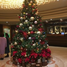 ホテル椿山荘東京の画像｜エントランスのツリー