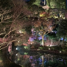 ホテル椿山荘東京の画像｜庭園のライトアップです。