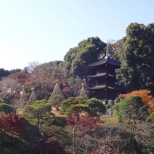 ホテル椿山荘東京の画像｜外のお庭の景色です