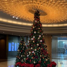 ホテル椿山荘東京の画像｜ロビーのクリスマスツリー
