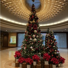 ホテル椿山荘東京の画像｜バンケット棟のクリスマスツリー