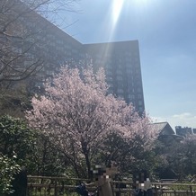 ホテル椿山荘東京の画像