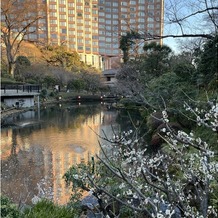 ホテル椿山荘東京の画像｜庭の梅の花