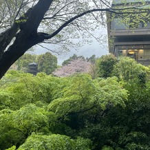 ホテル椿山荘東京の画像｜廊下からの景色