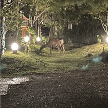 奈良ホテルの画像｜ホテル駐車場
時々鹿がいます。