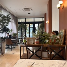 アーフェリーク白金の画像