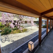 ＧＡＲＤＥＮ ＲＥＳＴＡＵＲＡＮＴ ＴＯＫＵＧＡＷＡＥＮ（ガーデンレストラン徳川園）の画像