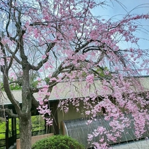 ＧＡＲＤＥＮ ＲＥＳＴＡＵＲＡＮＴ ＴＯＫＵＧＡＷＡＥＮ（ガーデンレストラン徳川園）の画像