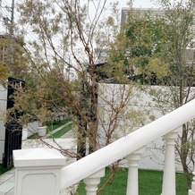 ＡＩＬＥ ｄ’ＡＮＧＥ garden（エルダンジュ　ガーデン）の画像｜階段の近く