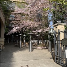 フォーチュン ガーデン 京都（FORTUNE GARDEN KYOTO）の画像