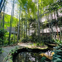フォーチュン ガーデン 京都（FORTUNE GARDEN KYOTO）の画像｜中庭の竹林