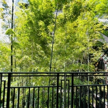 フォーチュン ガーデン 京都（FORTUNE GARDEN KYOTO）の画像｜テラスから見える風景