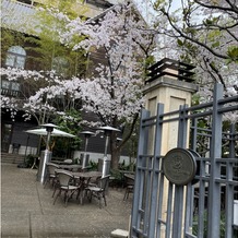 フォーチュン ガーデン 京都（FORTUNE GARDEN KYOTO）の画像｜敷地内の桜