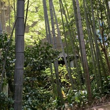 フォーチュン ガーデン 京都（FORTUNE GARDEN KYOTO）の画像｜会場内の竹林